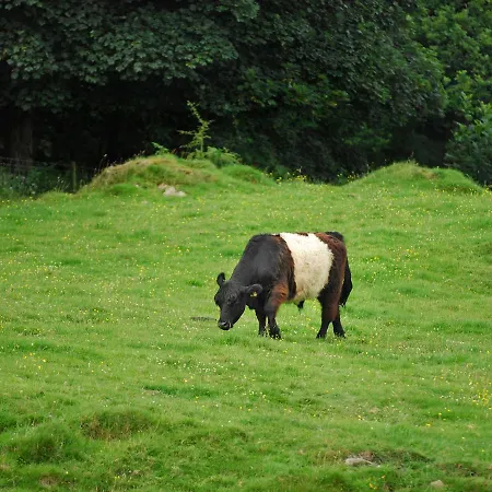Mungeon Barn * Backbarrow